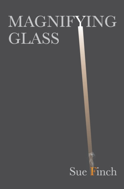 Magnifying Glass (ISBN: 9781913195113)